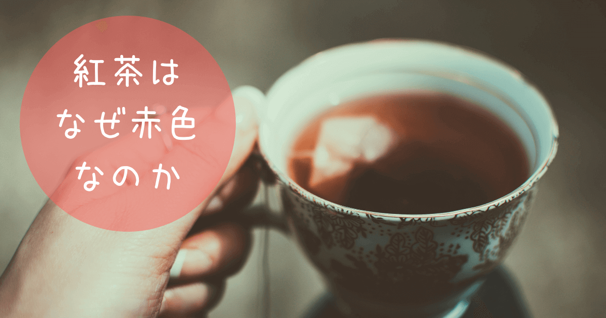 紅茶の色はなぜ赤い？紅茶の赤色を決める成分や鮮やかな赤色の時に見えるゴールデンリングとは？