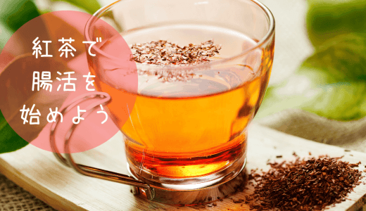 紅茶で腸活できる？腸に良い理由と市販で買える腸活紅茶3選